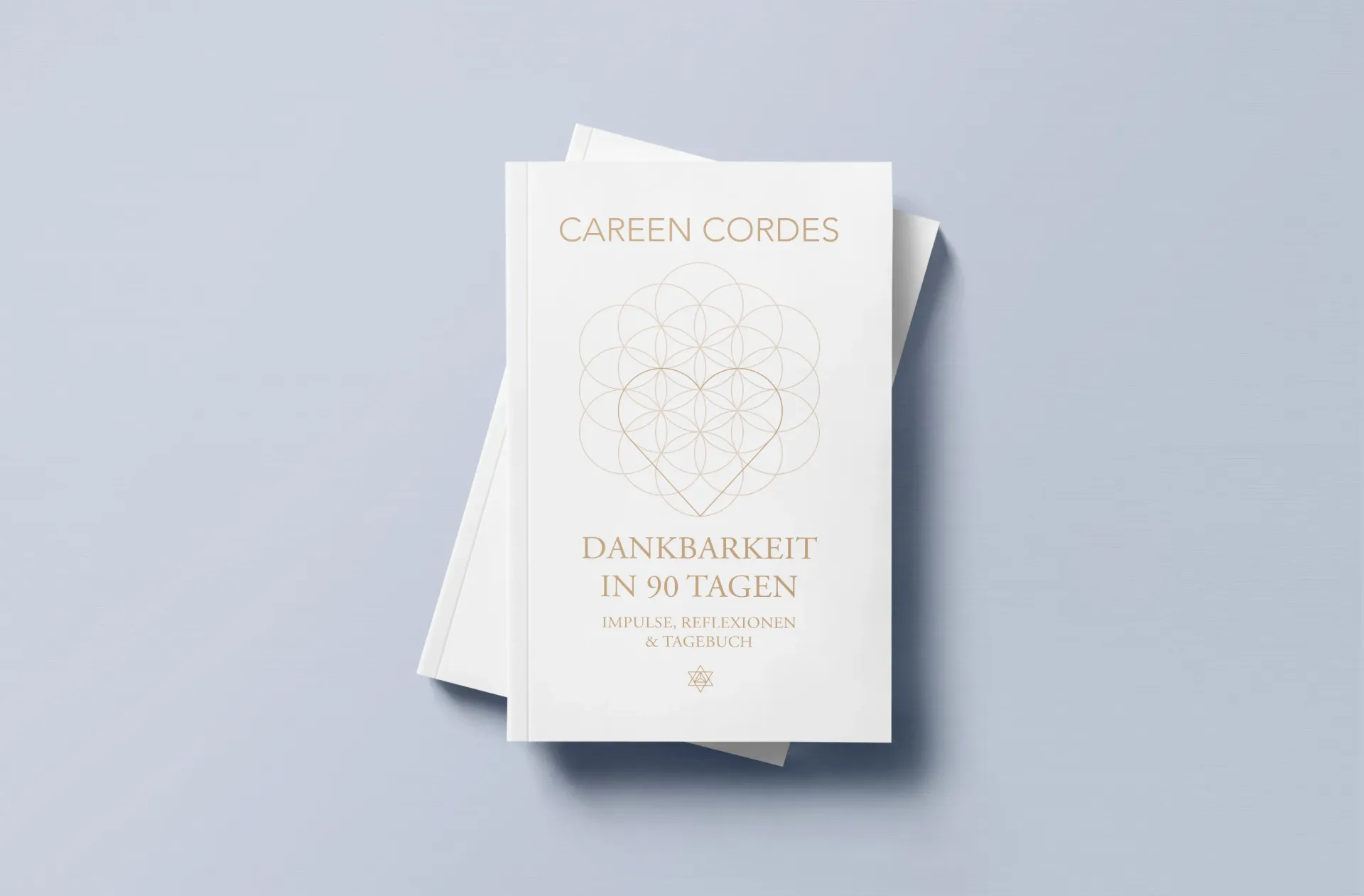 Dankbarkeit in 90 Tagen - Careen Cordes
